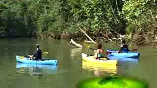 preview picture of video 'Playa Nicuesa River Tour'