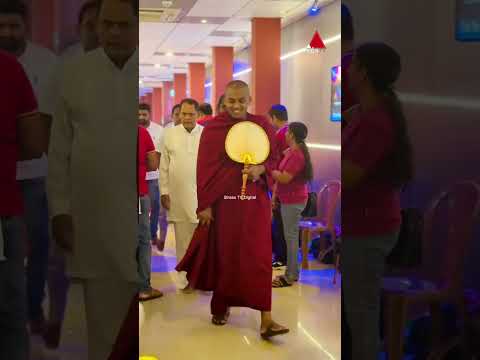 දැක්කත් හිත නිවෙනවා... 🥺🙏🏻 #shorts