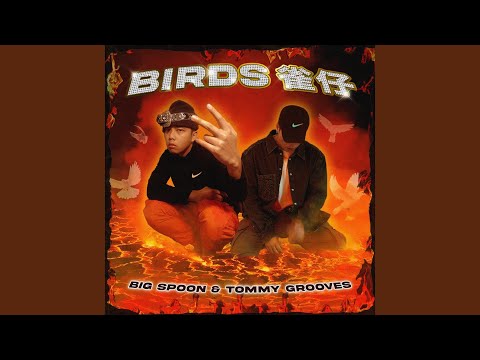 Birds 雀仔