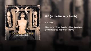 IAE (In the Nursery Remix)