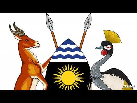 Prayer of a Citizen_Profesa MAROS