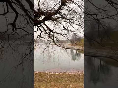 Lungern in Winter #travel #lake #lungern #reels #trending #tourist