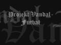 Projekt Vandal-Futbal 