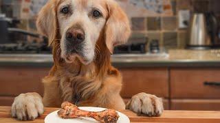 Quick Trick For Training Dog To Stop Stealing Food