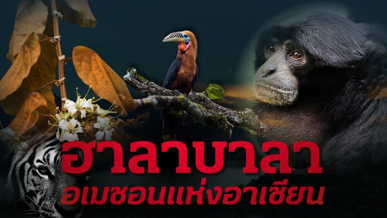 Hala-Bala Wildlife Sanctuary