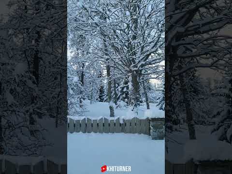 4K Unreal Engine Zelda Snow Landscape