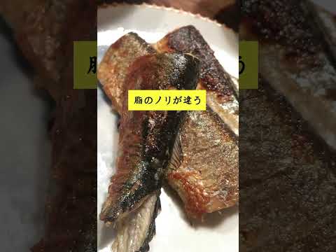 経営情報学科 高いほうが売れる店の秘密 #shorts