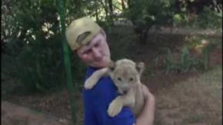 Lion cubs are sooo cute!