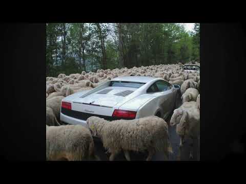 Mark Luva & BSN Posse - VHS Lambo