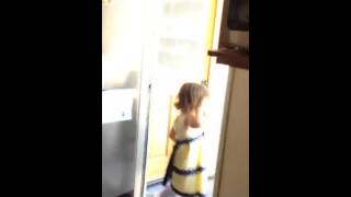 The knight slaying the dragon