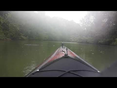 "Buzzard Roost Creek," AL