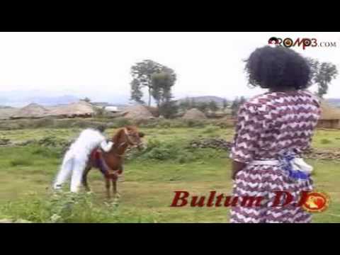 Taju Ahmed - Bokkaan roobee (Oromo Music)