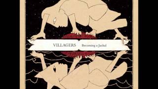 Villagers - Set the tigers free