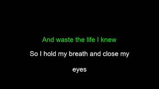 Pain Of Salvation Sisters Karaoke