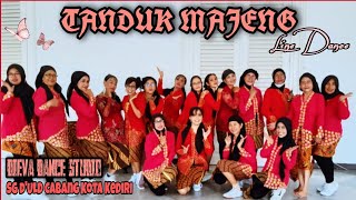 Download lagu TANDUK MAJENG | Line Dance (For Beginner) | DIEVA Dance Studio | SG d'ULD Cabang Kota Kediri mp3 Download lagu TANDUK MAJENG | Line Dance (For Beginner) | DIEVA Dance Studio | SG d'ULD Cabang Kota Kediri mp3
