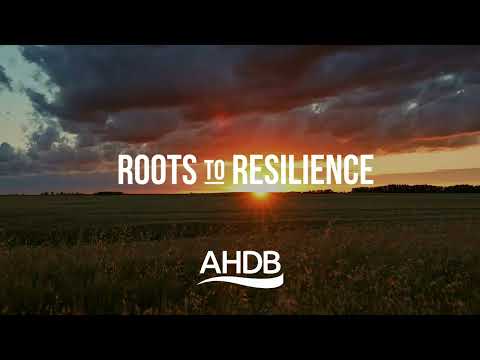 Roots to Resilience – What’s in it for Farmers?
