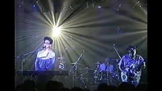 WONDERMINTS - Tracy Hide (live)