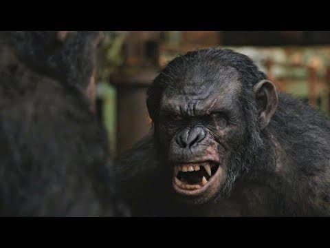 Caesar vs Koba | Dawn of the Planet of the Apes (2014)#LOWI