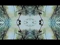 VNV Nation - Liebestod