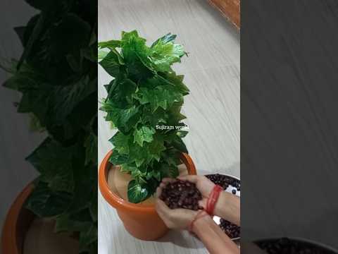 #artificial leaves decoration idea#artificial money plant decor#home decor# diy#viral#trending#short