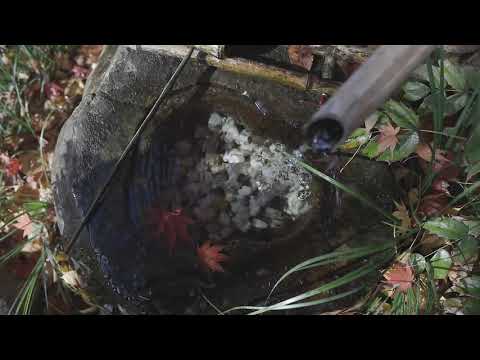 やまぐち映像図鑑 NO.046 伊藤公記念公園［光市］ | Itoko Memorial Park [ Hikari-city ]
