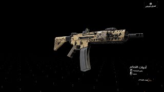 Division 2 Tactical MK 16