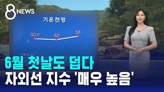 [날씨] 6월 첫날도 덥다..자외선 지수 '매우 높음' / SBS 8뉴스