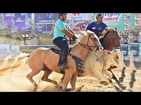 A mocidade da gente passa ligeiro demais - Geninho Batalha