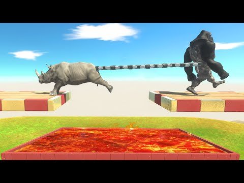 Tug of War Primates vs Mammals Over Lava Pool - Animal Revolt Battle Simulator