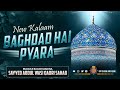 New Kalam E Sayyed Abdul Wasi Sahab Qibla Bagdad Hai Pyara