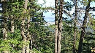 Looking down from Mount Erie near Anacortes, WA.