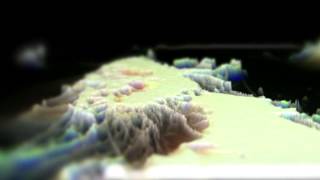 WIN WIN - Couch Paranoia [Official Video]