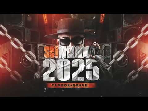 SET MIXADO 2025 [ DJ RD DO MARTINS ]