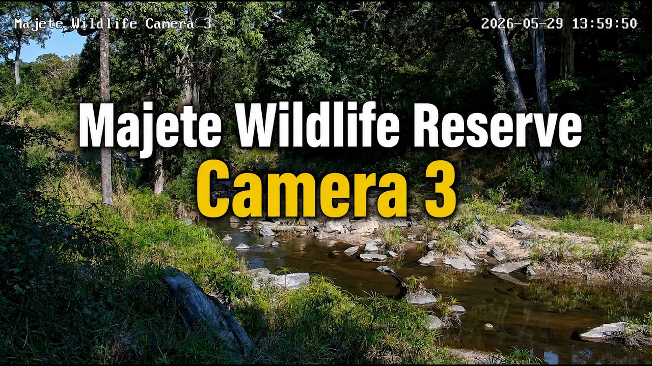 Live webcam view of Majete Wildlife Reserve Cam 3