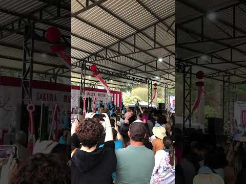 Sakura Matsuri na cidade de Frei Rogério.