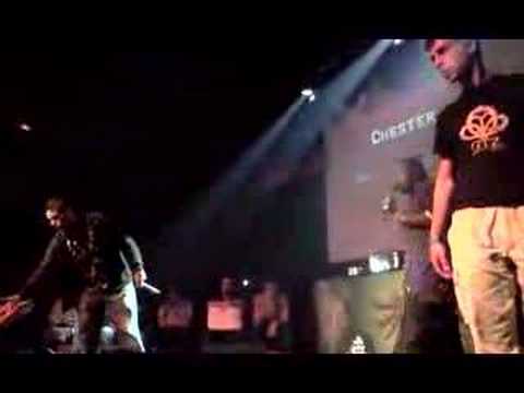 Chester vs. Mowlihawk BatallaDeLosGallos2008-Semifinal Barna