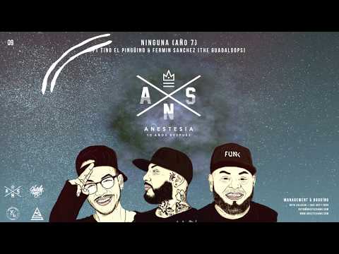 9.- ANESTESIA - NINGUNA FT TINO EL PINGÜINO & FERMIN (THE GUADALOOPS)