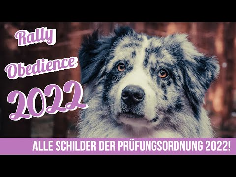 Rally Obedience Beginner: ALLE Schilder der Prüfungsordnung VDH RO Regelwerk 2022