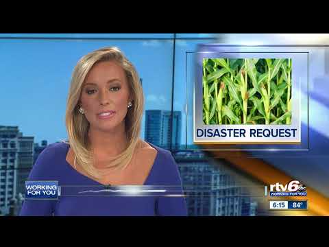 RTV6 News at 6: Friday, July 12, 2019