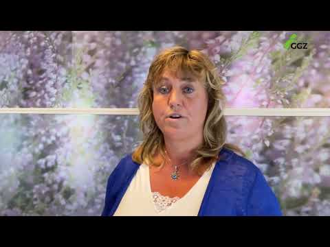 Wat betekent het om een crisismaatregel opgelegd te krijgen?