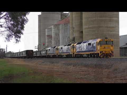 8154, 8160 and 8171 load 9782 grain at Rainbow- 24/7/18