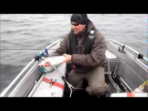Taimenen heittokalastusta syksyllä   Trout fishing at sea in Finland