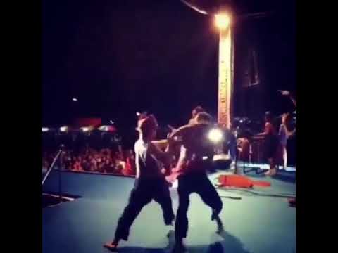 Keganasan Tiger karo brando mamana