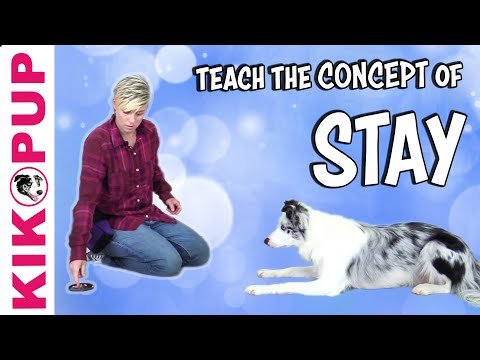 What is Clicker Training