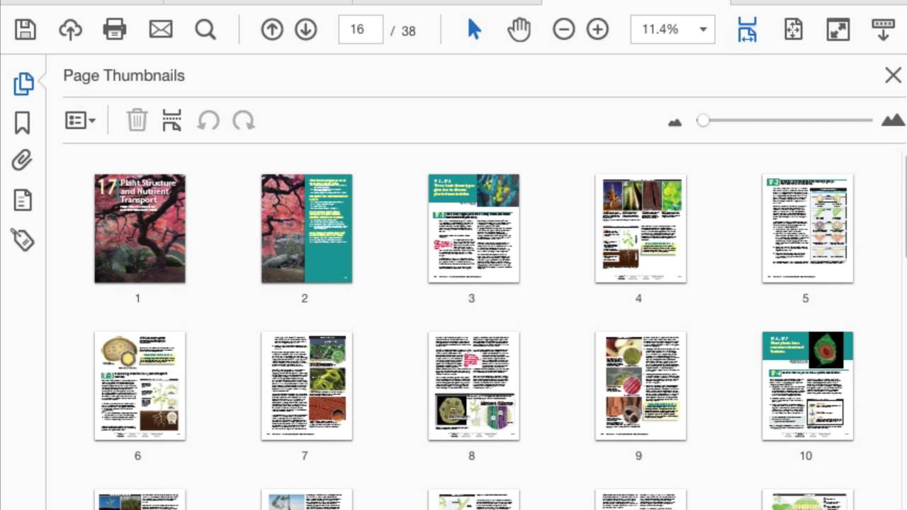 Acrobat DC: Renumbering Extracted Pages
