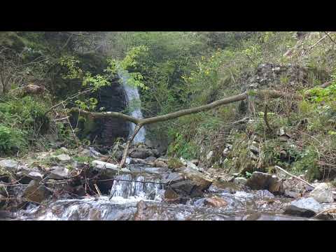 Hakusan Tedorigawa Geopark Scenery: Itao Fudoudaki Waterfall Area | 白山手取川ジオパークの景色：板尾不動滝付近