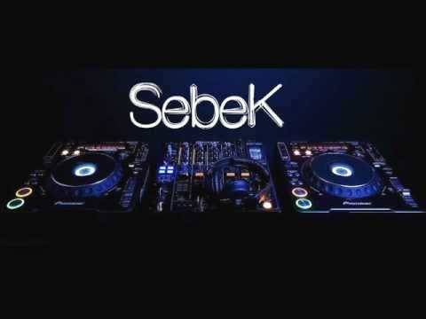 Ricky Rich vs. Disco Pogo feat. Seaside Clubbers - Party Randale