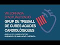 Vista prèvia vídeo