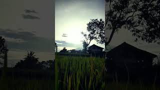 Download lagu Wilujeng énjing baraya #shorts #Sunda #sawah #vilagevlogs #lagusunda mp3 Download lagu Wilujeng énjing baraya #shorts #Sunda #sawah #vilagevlogs #lagusunda mp3
