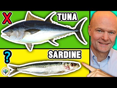 Top 5 Best Fish You Should NEVER Eat & 5 Fish You Must Eat
